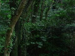 -北仑森林植物园