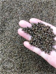 -孩子王童乐园(马群店)