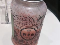 -野萃山·潮汕厚果汁(十亩地店)
