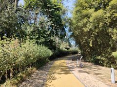 -中国移动南方基地