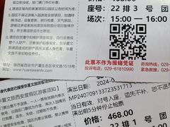 -《驼铃传奇》秀