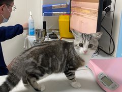 -贝康宠物医院·犬猫全科·小动物特色诊疗中心(东环路店)