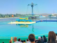 -秦皇岛乐岛海洋王国