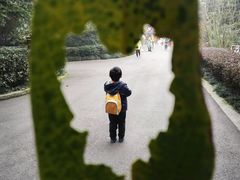 -成都大熊猫繁育研究基地