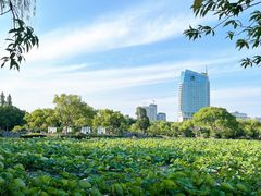 -无锡蠡湖国家湿地公园-蠡园