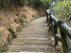 -梧桐山风景名胜区