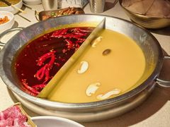 -小龙坎火锅(全球旗舰店)