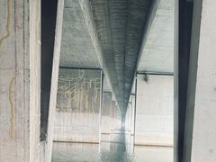 -绿堤公园