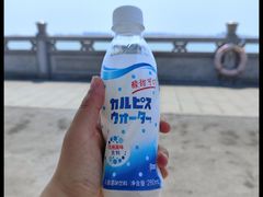 -华侨公园