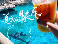-珠海长隆海洋王国