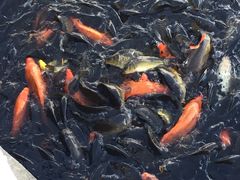 -水上乐园·欢乐世界