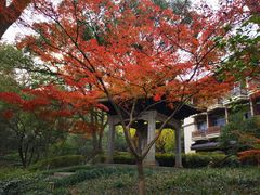 -杭州花家山庄