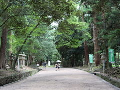 -奈良公园