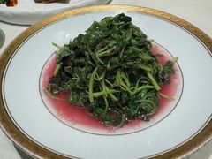 -蝶园·装修中(BFC外滩金融中心店)