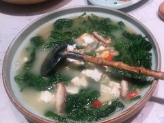 上汤桑叶苗-大榕树下顺德菜(融创茂店)