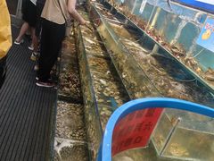 -仙螺岛海鲜自助餐厅(总店)