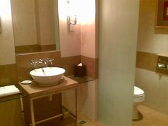 客卫-王府半岛酒店