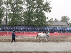 -北京群众马术培训基地