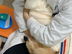 -成都民大动物医院