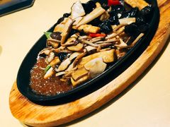-素虎小呆鸟(西二旗店)