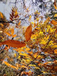 -中国科学院昆明植物研究所植物医生研发中心产品体验馆