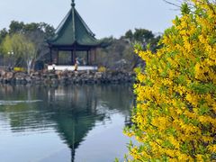 -无锡蠡湖国家湿地公园-蠡园
