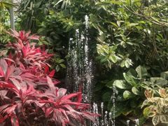 -呀路古热带植物园