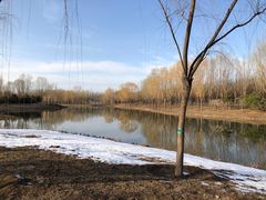 -东郊湿地公园