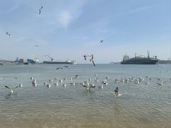-海驴岛(荣成市)