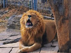 -济南野生动物世界