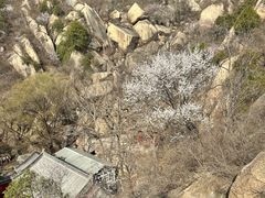 -北京凤凰岭