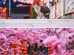 -石岛赤山风景区