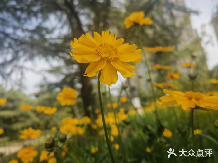 诺贝尔湖公园图片