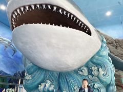 -多彩贵州城极地海洋世界