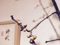 -茶是一枝花泡茶店