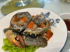 生腌膏蟹-启东海鲜人家(古美路店)