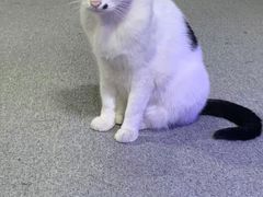 -CLUE演绎实景剧本杀(江南西店)