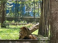 -秦皇岛野生动物园