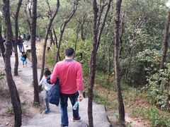 -榴花公园