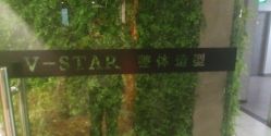 点击看大图 -V-STAR威斯达•高级私人定制