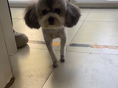 -宠福鑫康馨动物医院·骨科·眼科