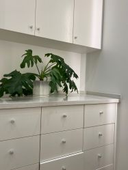 -YESIDO椰岛造型