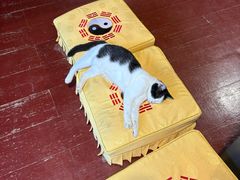 -长春观
