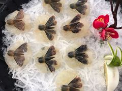 传统鲩鱼生-祈胜邨•顺德鱼生•顺德菜(容桂店)
