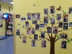 -瑞鹏宠物医院·爱宠堂·骨外专科(西荷分院)