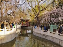 -桃花堤公园