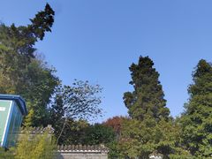 -老君山