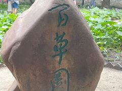 -绍兴鲁迅故里·沈园景区