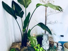 -如禾素食·下午茶·糖水