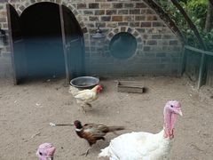 -南宫五洲植物乐园